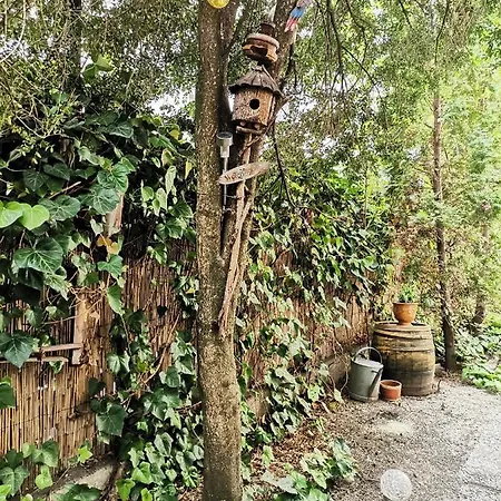 Apartment Flat In Historic With Your Own Private Garden, Near Park Budapest