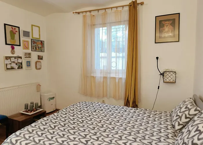 Apartament Flat In Historic With Your Own Private Garden, Near City Park *